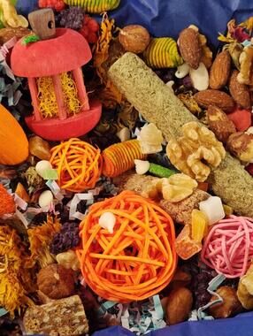 Play & Chew Rodent Fun  "No More Boredom" Box - Rats, Mice, Gerbils, Hamsters...